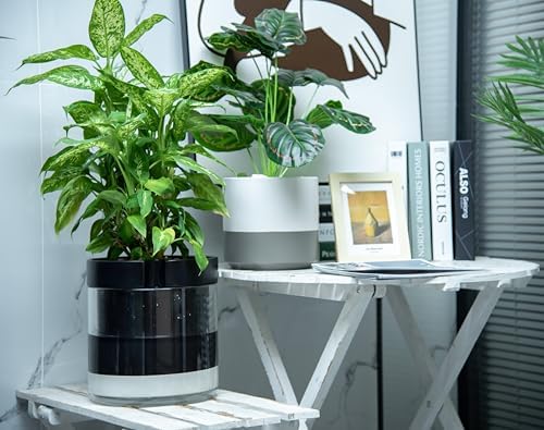 Phoenix Vine 10 Inch Self Watering Terracotta Planter, Black Terracotta Clay Pot with Glass Reservoir for Indoor Plants, Herbs, Flowers, Set of 1, 52-C-I-1 - Image 4