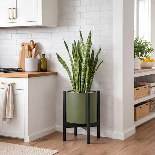 D'vine Dev Plastic Pot with Ebony Wood Stand, Olive, 10 in, 55-C-N-3 - Image 2