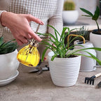Maxdot 7 Pcs Colorful Glass Plant Mister Spray Bottle 250ml Vintage Pumpkin Spritzer with Bronze Top Pump 6.3" Tall Small Decorative Spritzer One Hand Watering Can for Plants Cleaning Gifts - Image 6
