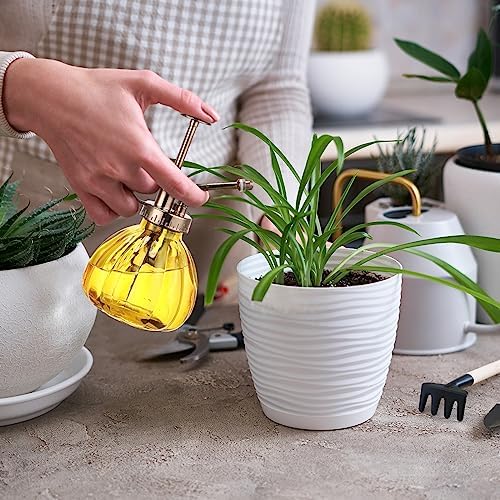 Maxdot 7 Pcs Colorful Glass Plant Mister Spray Bottle 250ml Vintage Pumpkin Spritzer with Bronze Top Pump 6.3" Tall Small Decorative Spritzer One Hand Watering Can for Plants Cleaning Gifts - Image 6
