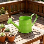Watering Can Outdoor, 0.3 Gallon Long Spout Small Galvanized Metal Watering Can Outdoor with Handle and Sprinkler Head,Cute Metal Watering Can for Garden House Plants Flower Bonsai Indoor - Image 4