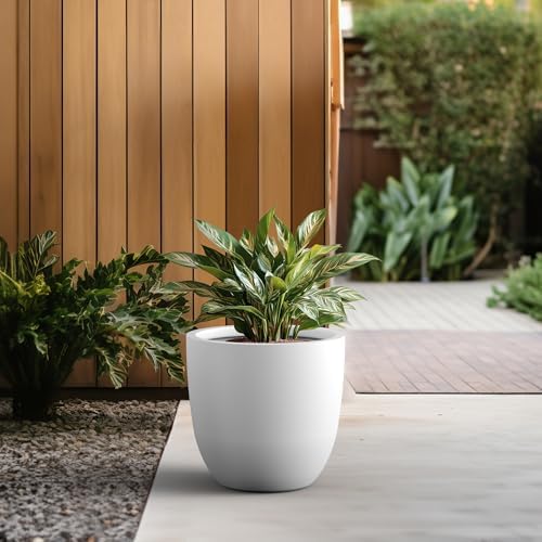 Kante 18" Dia Round Concrete Planter, Large Bowl Pot, White - Image 3