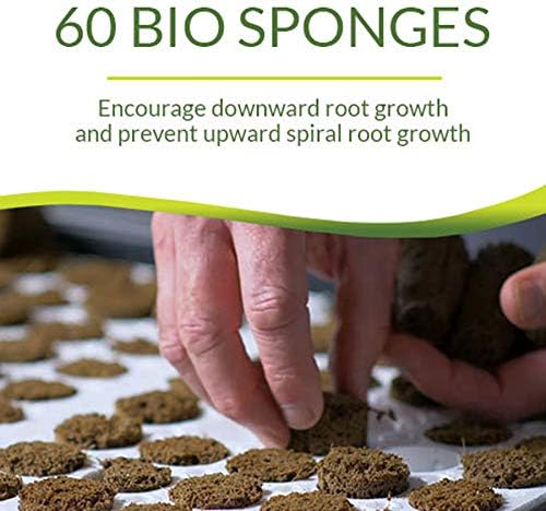 Park Seed Bio Dome Seed Starter Kit with 60 Cell Planting Block, Base Tray, Humidity Dome & 60 Bio Sponges - Image 4