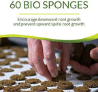Park Seed Bio Dome Seed Starter Kit with 60 Cell Planting Block, Base Tray, Humidity Dome & 60 Bio Sponges - Image 4