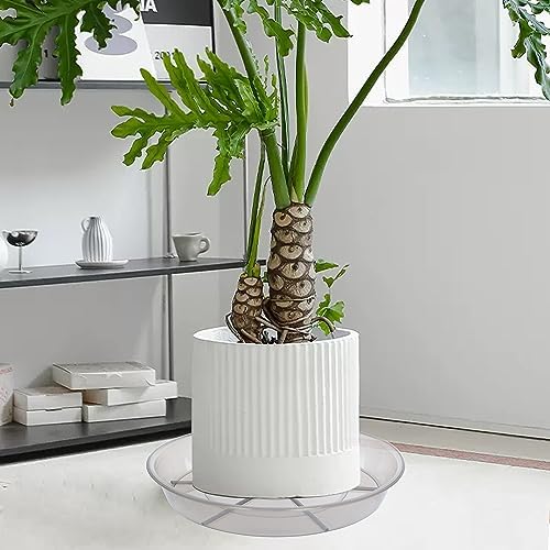 2 Pack Plant Saucer Drip Tray 19 inch, Large Heavy Sturdy Plastic Planter Flower Pot Saucers for Indoor Outdoor Garden, Plant Water Drip Trays for pots (19" 2Pack, Grey) - Image 5