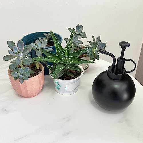Plant Mister Spray Bottle Stainless Steel Plant Sprayer, Small Watering can Plant Spray Bottle Modern Gardening Tools for Indoor Potted Plants Watering and Spraying - Image 4