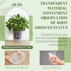 Wonderjune Self Watering Planter, 4.72'', 5.91'', 7.09'', Clear, 12 Pcs - Image 5