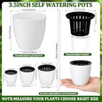 Self Watering Plant Pots, 3.5'', White Black, 36 Pcs - Image 2