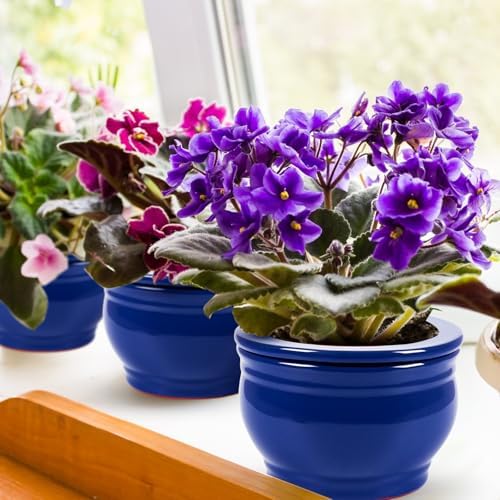 2 Set 6 Inches African Violet Pots Ceramic Self Watering Pots for Indoor Plants with Highly Absorbent Inner for Busy Plant Lovers Flower Maintenance (Blue) - Image 4