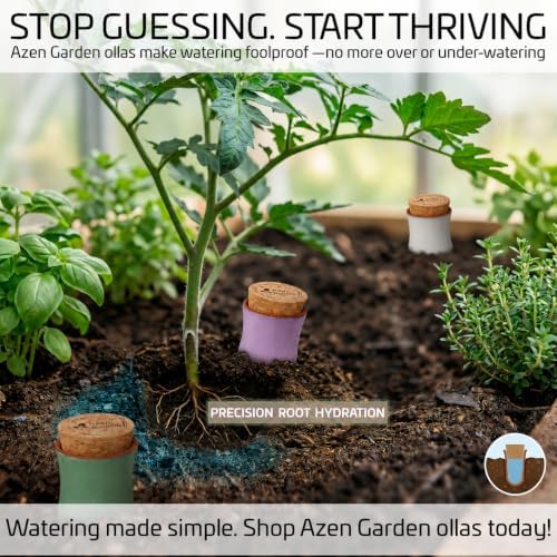 Ollas Plant Watering Globes - Terracotta Self Watering Planter Insert - Automatic Water Bulbs for Indoor/Outdoor Plants - Easy Refill System - Set of 4 with Purple - Image 6