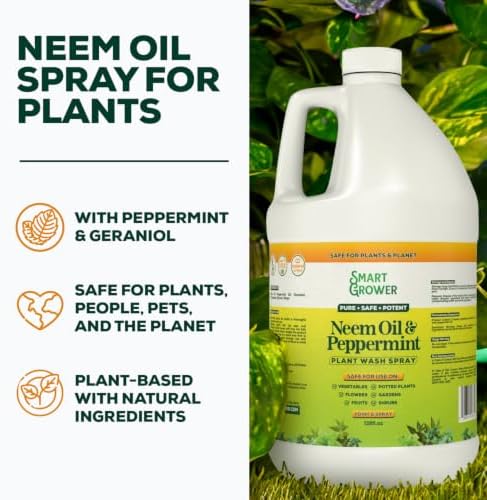 Neem Oil Spray for Plants with Peppermint Oil. Indoor & Outdoor Plant Use - Image 2
