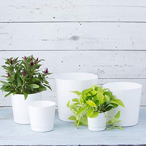 Root & Vessel Majestic Full Depth Cylinder Pot, Glossy White, 14-Inch (10142) - Image 6