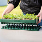 Vego garden Seedling Suite Products 10" x 20" 76 Cells Stackable Seed Starter Germination Tray with 3-in-1 Plant & Pop Board and 10" x 20" Bottom Watering Tray - Image 5