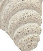 Nautilus Shell Planter, Beige - Image 7