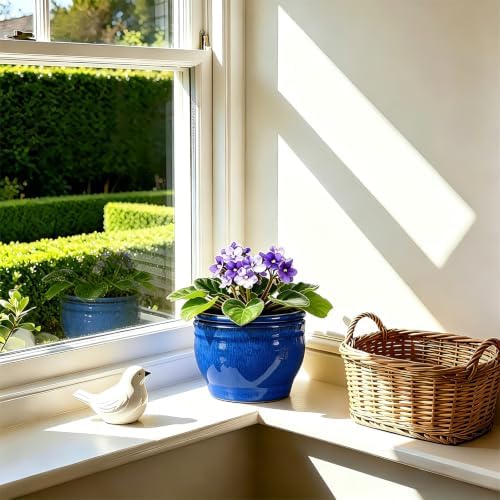 Self Watering Pot for African Violets Indoor Outdoor Plants, 6 inch, Blue - Image 6