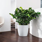 Lechuza Classico Color 43 White, Self-Watering Round Planter, D16.5 H15.7 in - Image 6