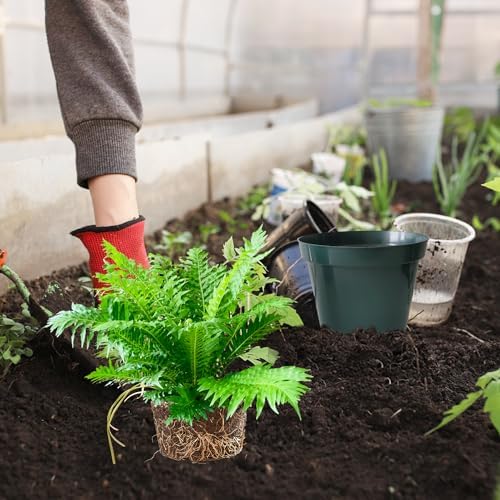 RooTrimmer 50 Pack 6 Inch Nursery Pots, Planting Grow Plastic Flower Pots, Thick Planters with Drainage Holes for Outdoor/Indoor Plants Succulent Herb (Green) - Image 5