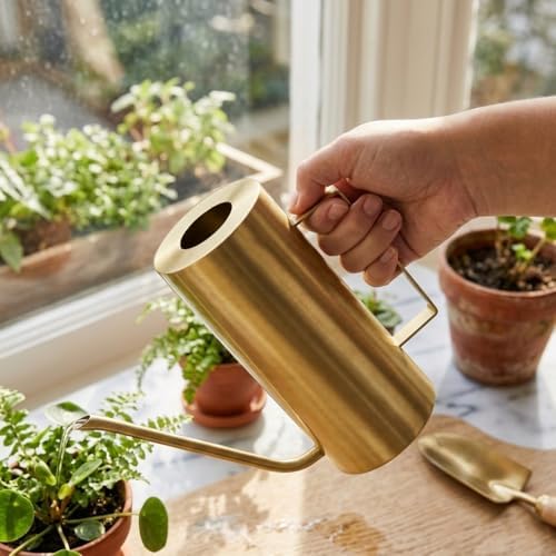 Stainless Steel Plant Watering Can 50oz/1.5L Indoor Modern with Long Spout, Garden Irrigation Metal Tool for House Potted Plants Bonsai Flower Decorative, Gold Color - Image 3