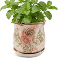 Ceramic-Planters-for-Indoor-Plants with Saucer, 6 inch Vintage Ice Crackle Glaze Plant Pots with Drainage Holes, Decorative Flower Pots for Outdoor Garden Home Decor, Tuscan Pot for Plant by Xoogifae
