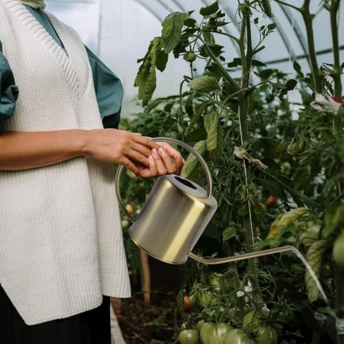 Brass Gooseneck Watering Can – 1.5L/2L Stainless - Image 3