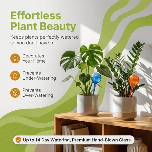 Plant Watering Globes 6 Pack – Self Watering Bulbs Set for Plant Collectors - Image 3