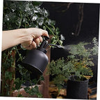 Stainless Steel Watering Pot for Indoor Plants, Vintage Black - Image 2