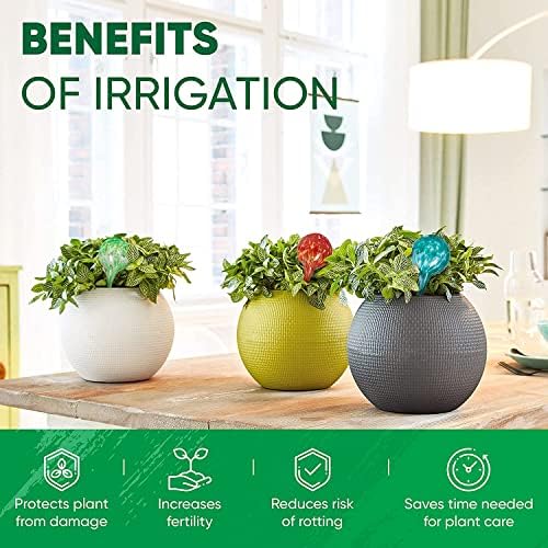 Plant Watering Globes Set of 8, Small - Glass Self Watering Globes - Image 4