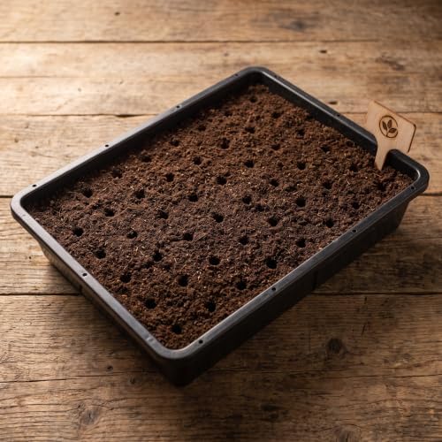 Kisangel 2 Set Flat Seed Starter Trays with Bottom Watering Trays for Vegetable & Wheatgrass Sprouting, Stackable Black Plastic Nursery Flats, 14.6 x 12 Inches - Image 6