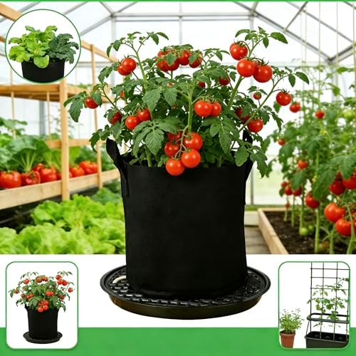 6 Pack 12 inch Self Watering Base for Fabric Grow Bag, Self-watering Plastic Elevated Plant Saucer Stand, Automatic Watering Tray for Non-woven Planter Flower Pot Growth Tent Greenhouse Indoor Outdoor - Image 4