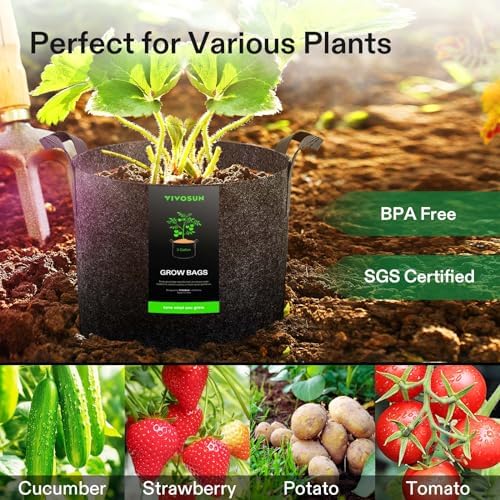 VIVOSUN 10-Pack 3 Gallon Grow Bags and 10Pcs Self-Watering Spikes, Hexagonal Terracotta Watering Stakes, Auto-Water Device, Planter Insert for Indoor & Outdoor Potted Plants, 10-Pack - Image 2