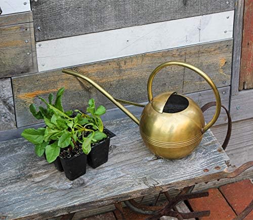 Achla WC-01 Designs Watering Can, 1L, Brass - Image 3