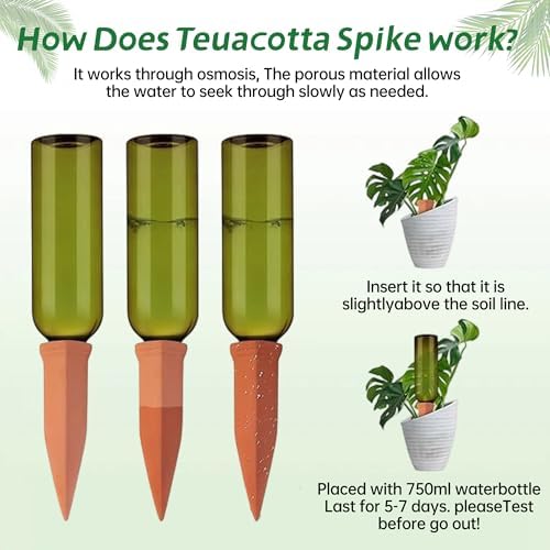 Large Clay Watering Spikes with Lids, Olla Spikes | 6 Pack Self-Watering Stakes for Indoor & Outdoor Planters | Terracotta Vacation Plant Waterer, Slow Release Devices with Rake - Image 7