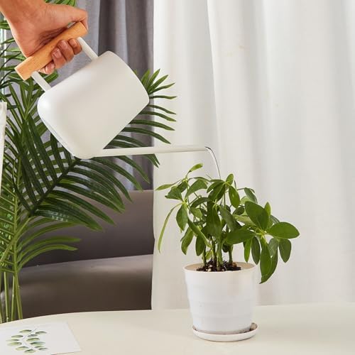 Watering Can Indoor Plants, Stainless Steel Watering Can Pot, Garden Watering Can with Long Spout for Indoor House Plants Bonsai (White) - Image 4