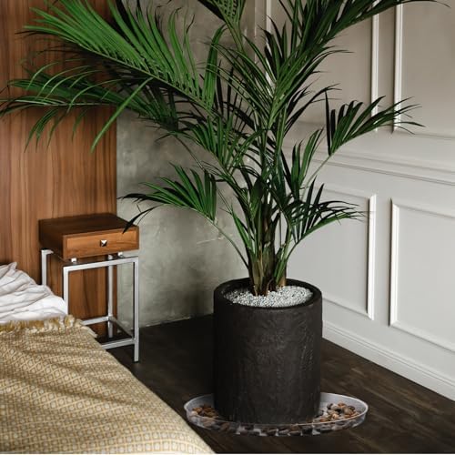 DoubleFill 6 Pcs 25 Inch Plant Saucer Clear Plastic Round Large Trays - Image 5