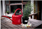 Retro Style Gorgeous Long Spout/Iron Watering Can Gardening Tool 1.7 L(red) - Image 2