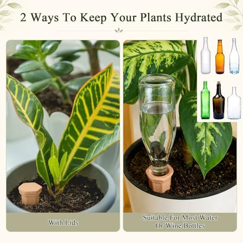 12 Pack Terracotta Watering Spikes with Lids Plant Watering Spikes Automatic Plant Waterer Devices Outdoor Indoor Vacation Friendly Slow Release Self Waterer Planter Insert(Medium) - Image 4