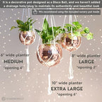 SCANDINORDICA Disco Ball Planter, Value Package, 8-inch Rose Gold - Image 5