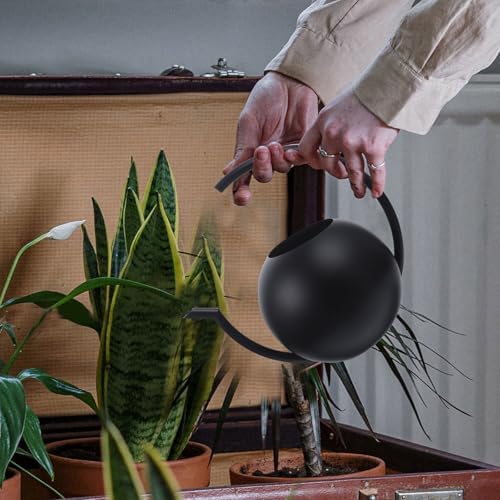 Black Stainless Steel Watering Can, 1l Thin Spout for Plants - Image 4