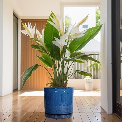Eightpot Plant Saucer 9.3 Inch - Ceramic Plant Saucer for Indoors Outdoors Plant Water Catcher Tray Plant Drainage Tray Decorative Flower Pot Saucer Plant Plates Blue - Image 7