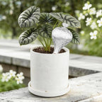 12 oz Plant Watering Globes, Clear Glass Self Watering Bulbs Top Fill with Terracotta Spikes Stake, Self Watering Planter Insert Vacation Automatic Plant Waterer Device for Indoor & Outdoor 2Pack - Image 2