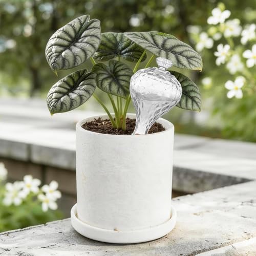 12 oz Plant Watering Globes, Clear Glass Self Watering Bulbs Top Fill with Terracotta Spikes Stake, Self Watering Planter Insert Vacation Automatic Plant Waterer Device for Indoor & Outdoor 2Pack - Image 2