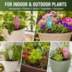 4Pcs Self Watering Globes 500ML Plant Waterer Device Transparent - Image 7