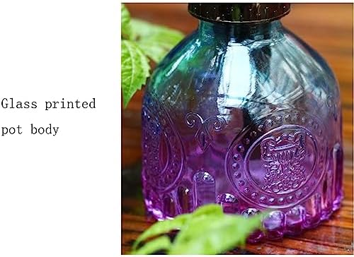 Watering Can Glass Spray Bottle, 200ML Plant Mister, Watering Can with Top Pump for Indoor House Plants, Garden,Cleaning Garden Watering Cans Indoor Watering Can (Color : B) - Image 3