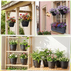 20 Pack Hanging Planter Basket 10 Inch with Drainage Tray - Image 6