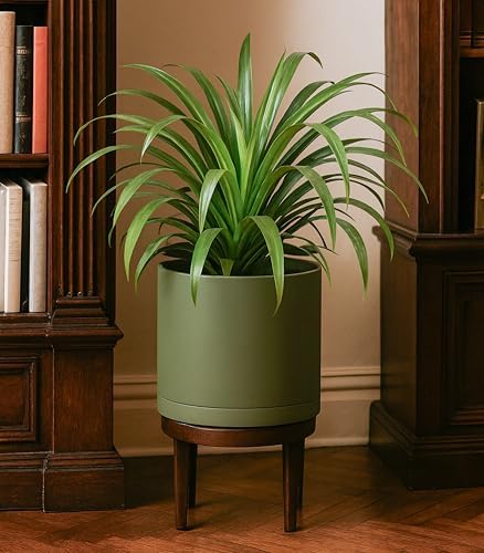 D'vine Dev Plastic Planter Pot with Saucer, 8 in, Olive, 74-X-I-1 - Image 7