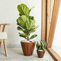 10 in Self-Watering Planters, 2-Pack, 10 Inch, Dark Brown Wood Look by Noeko