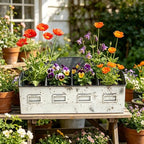 Rustic 4-Compartment Metal Planter Box, Distressed Galvanized Farmhouse Planter for Indoor Outdoor Herbs Succulents Flowers, Vintage Decorative Plant Pot for Home Patio Garden Decor - Image 7