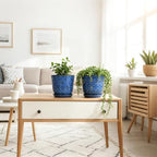 Gepege Ceramic Plant Pots, 6 Inch Indoor Planters with Drainage & Saucers - Image 4