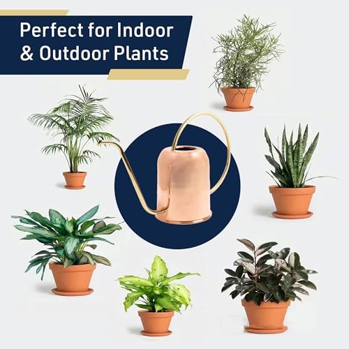 Copper Watering Can Indoor Plants - 48oz Long Spout Precise Small Water Can for Plants, Bonsai, Succulents, Houseplants, or Garden - Metal Inside or Outdoor Plant Watering Cans by Kings County Tools - Image 5