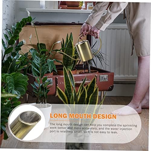 Stainless Steel Watering Kettle 2000ml Golden for Gardening Home - Image 7